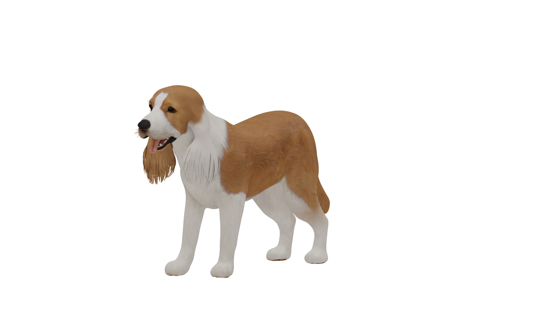 English Cocker Spaniel Dog Low-poly 3D model_34