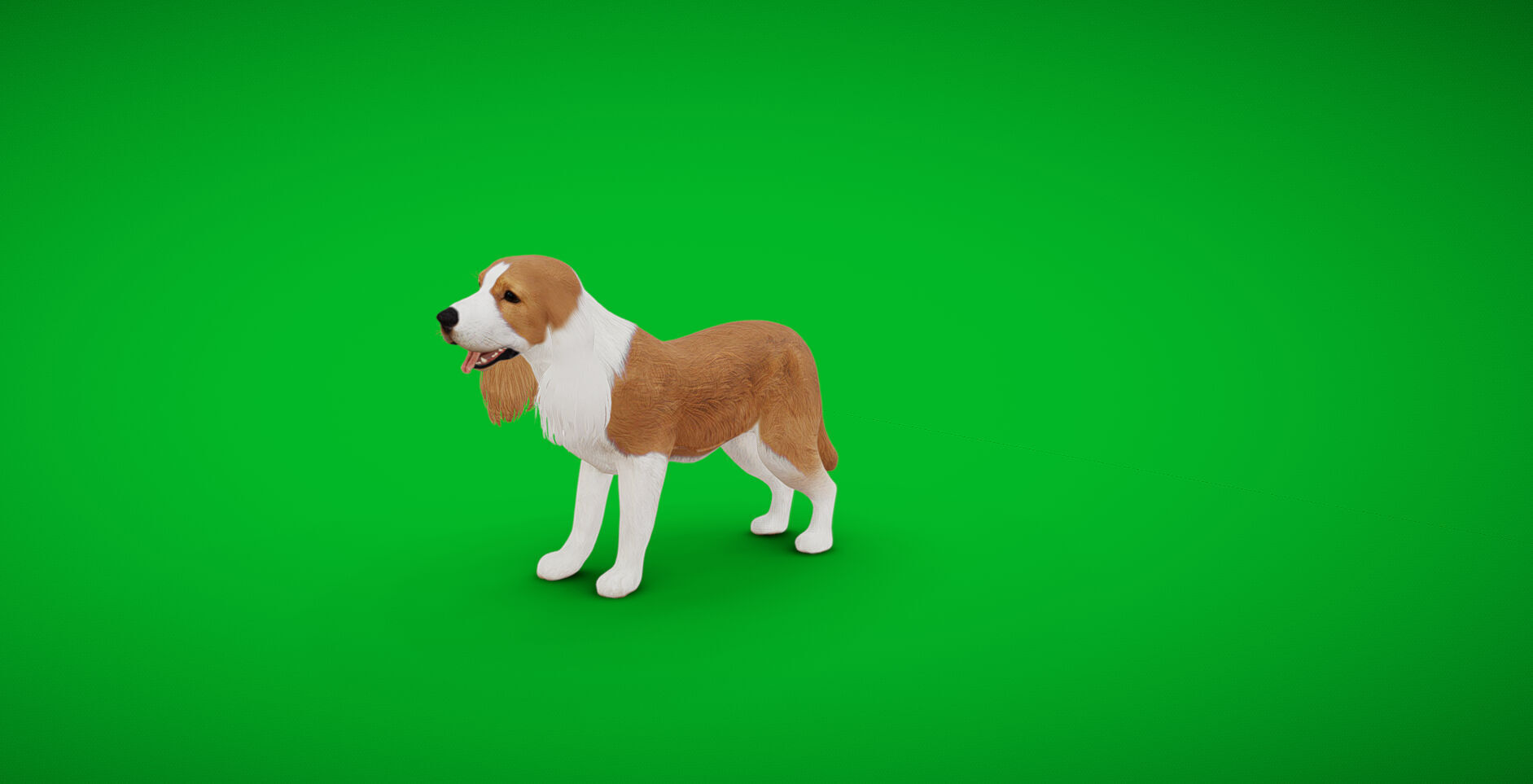 English Cocker Spaniel Dog Low-poly 3D model_40