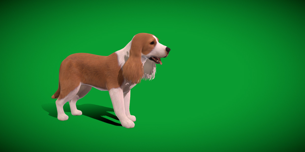 English Cocker Spaniel Dog Low-poly 3D model_26