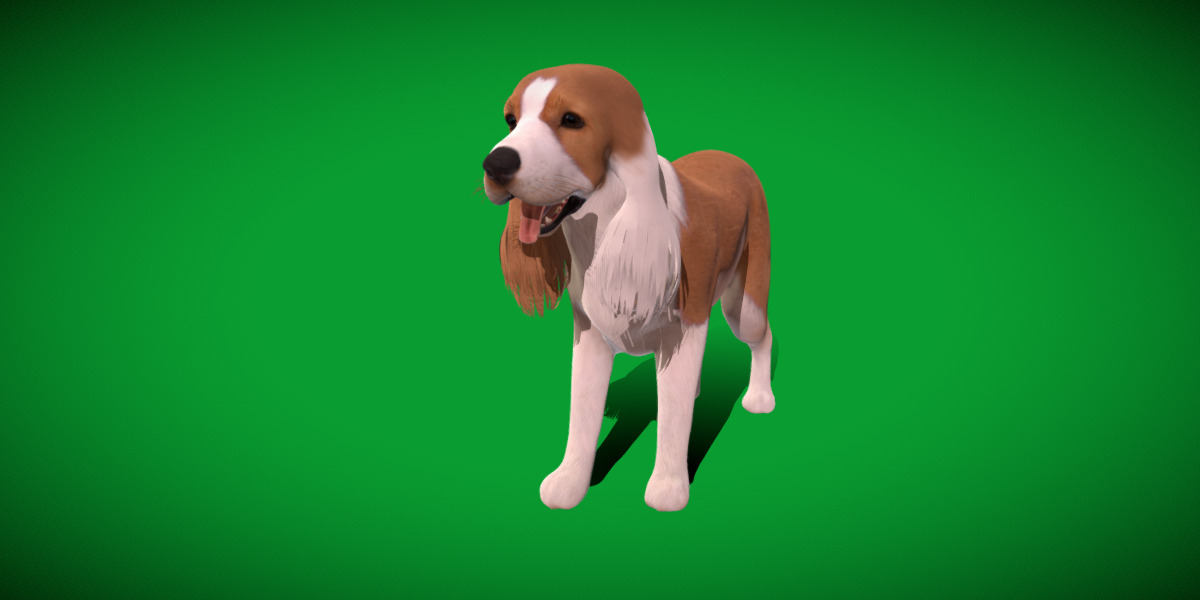 English Cocker Spaniel Dog Low-poly 3D model_2