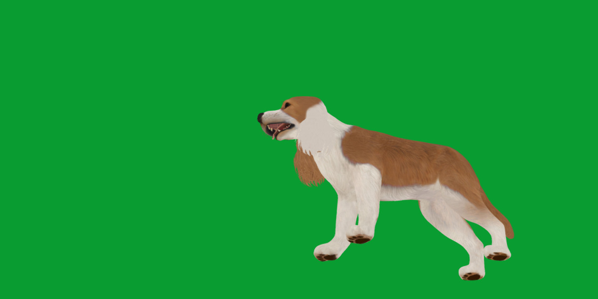 English Cocker Spaniel Dog Low-poly 3D model_24