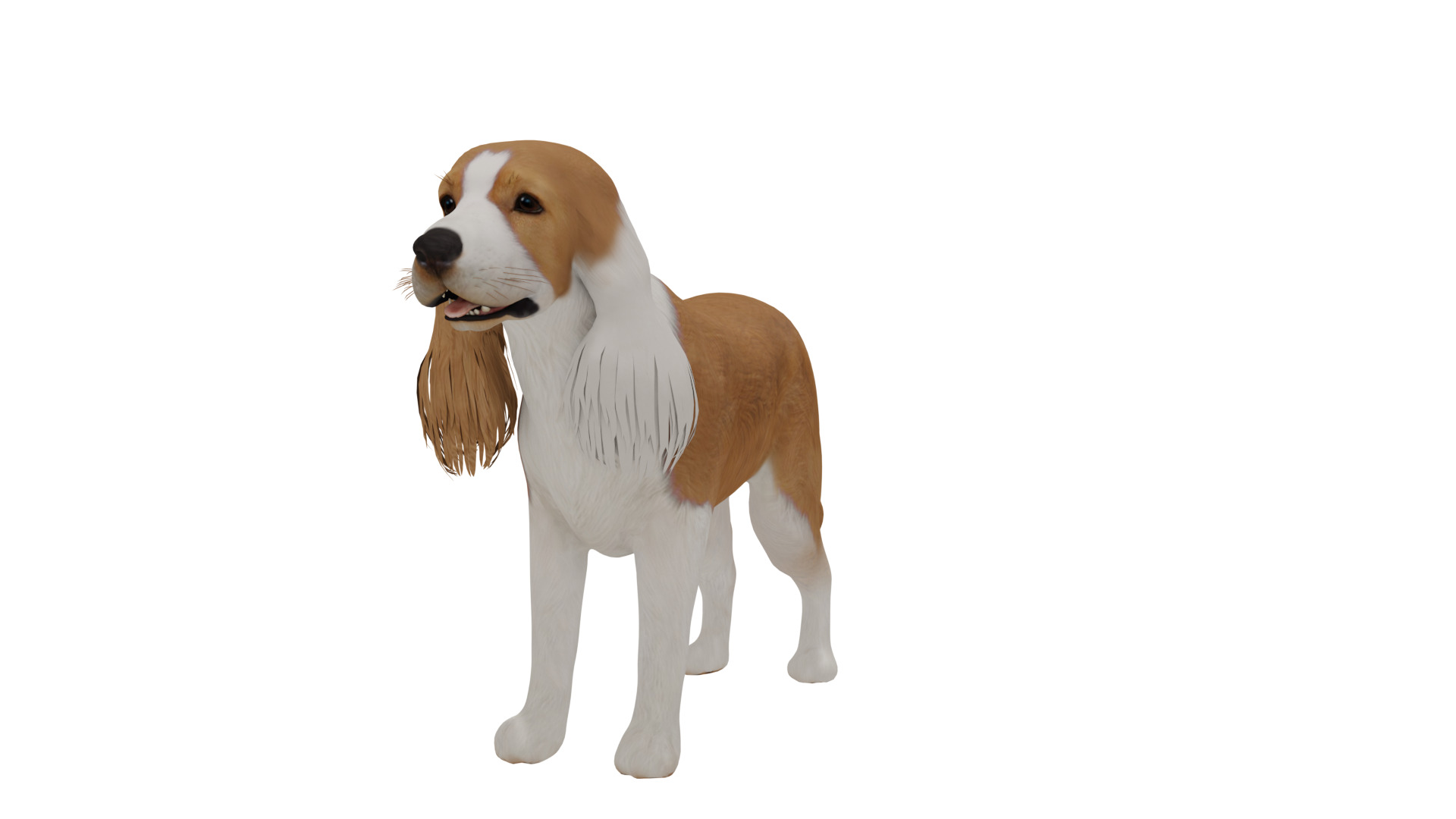 English Cocker Spaniel Dog Low-poly 3D model_32