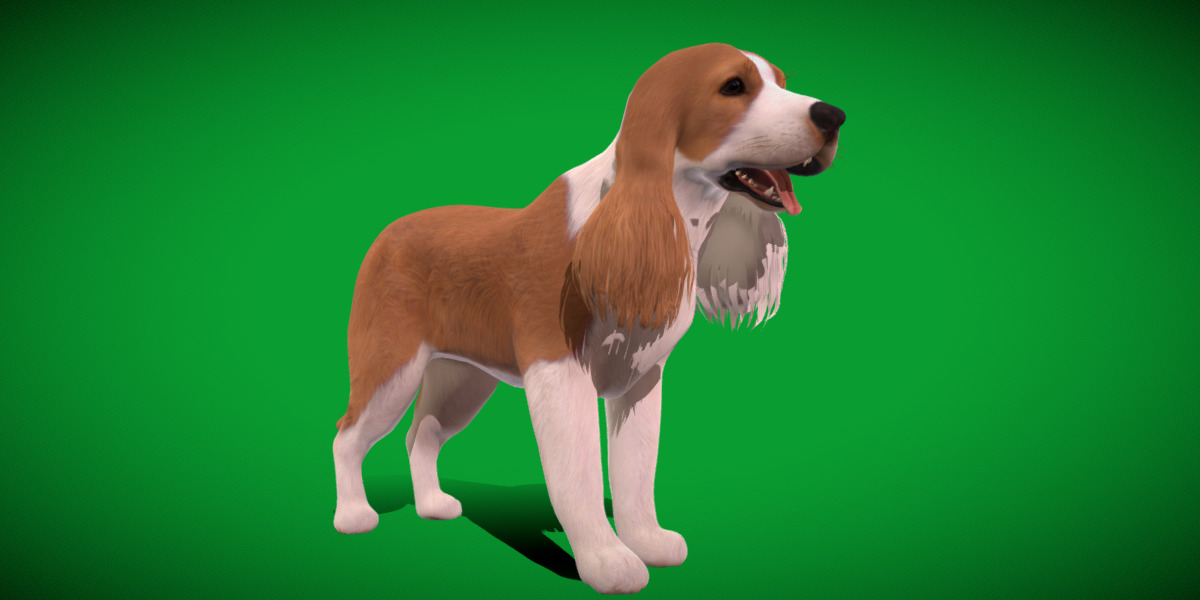 English Cocker Spaniel Dog Low-poly 3D model_22