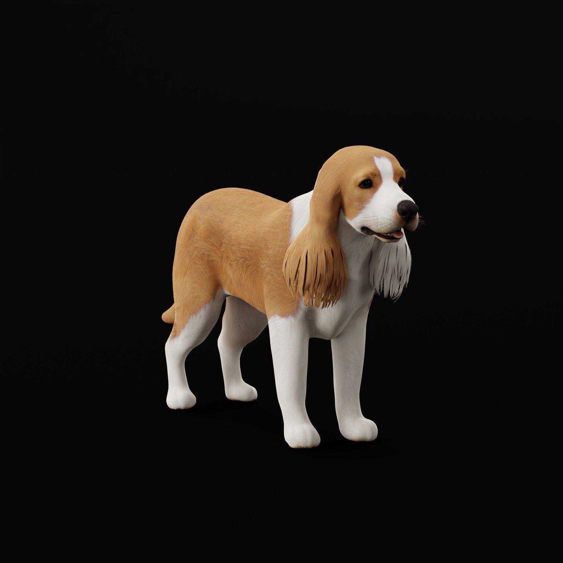 English Cocker Spaniel Dog Low-poly 3D model_45