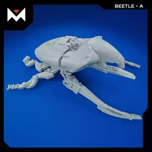 Beetle A 