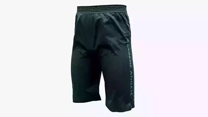 Supreme Sports Shorts