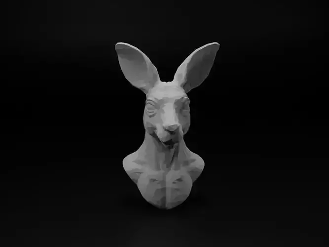 Kangaroo Animal Low Poly