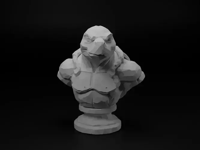 Turtle Animal Low Poly