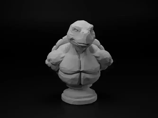 Turtle Animal Low Poly