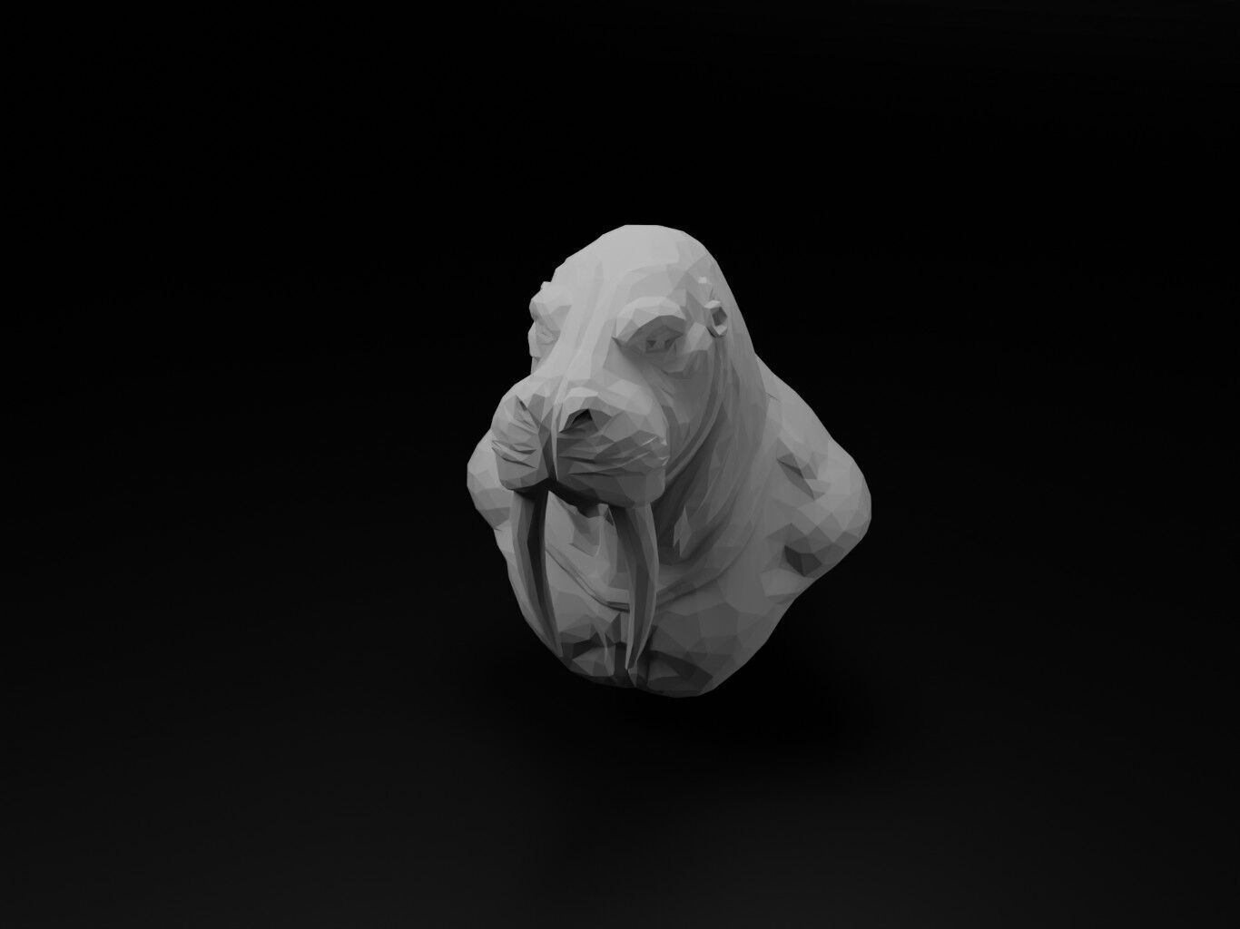 Walrus Animal Low Poly 3D print model_2