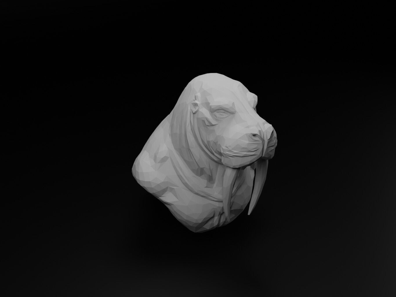 Walrus Animal Low Poly 3D print model_1