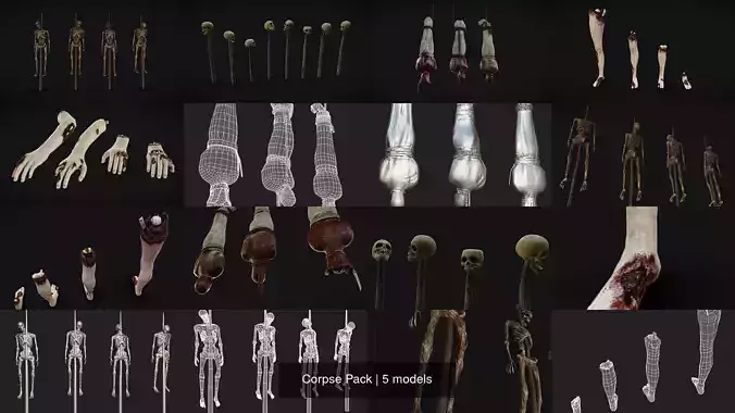 Corpse Pack 3D Model Collection