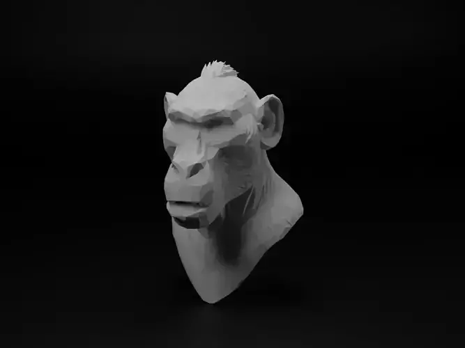 Baboon Animal Low Poly