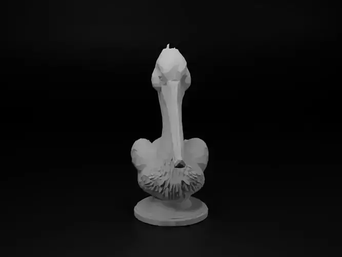 Pelican Animal Low Poly