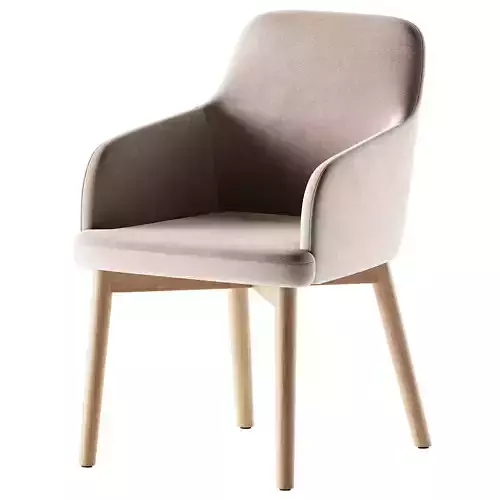 Nelida Dining Chair