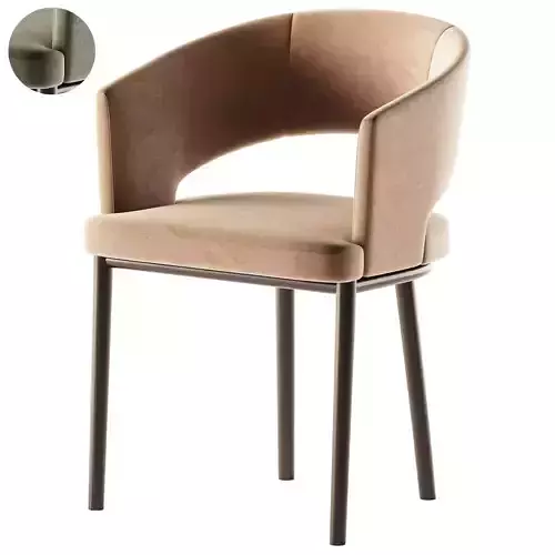 Circa Dining Chair