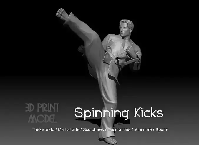 Taekwondo spinning kicks two 3D print model