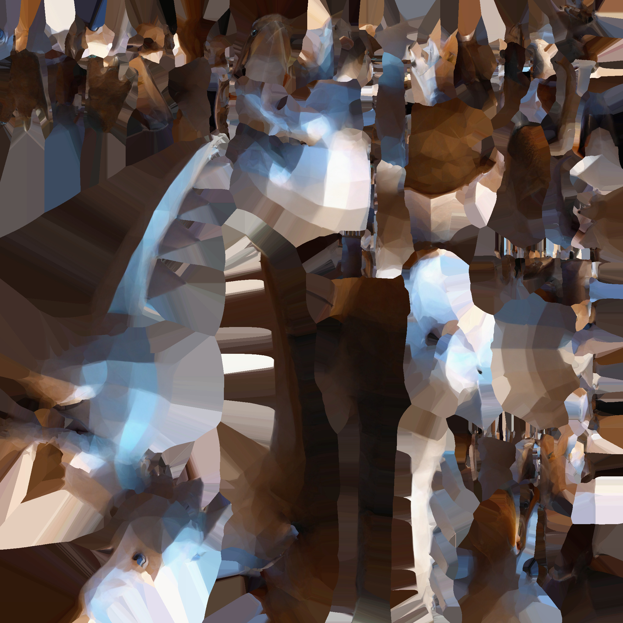 3d Model The Platypus A Unique Animal 3D model_9