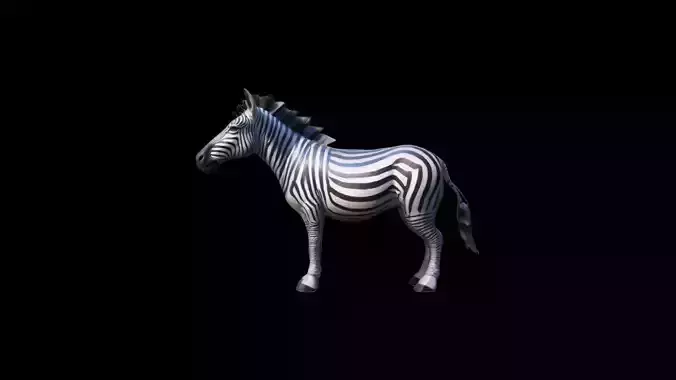  3d Mode The Zebra Is A Stunning Herbivore