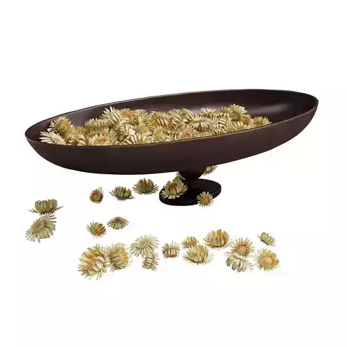 Decorative set with Audo Pavot vase and dried flowers