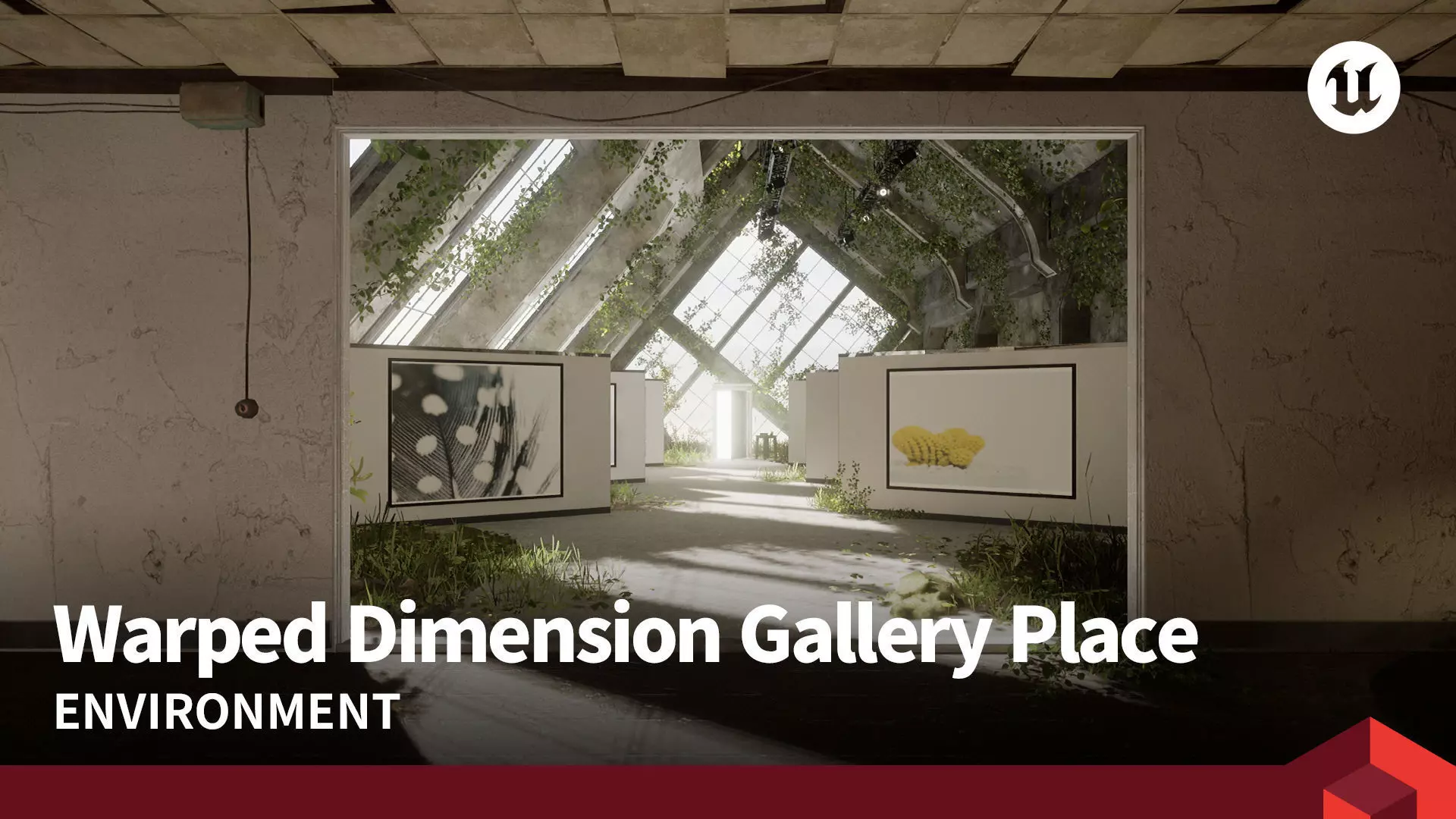 Warped Dimension Gallery Place 3D model_0