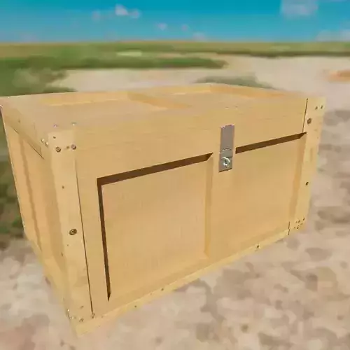 Student Trunk and Chopbox Free 3D model