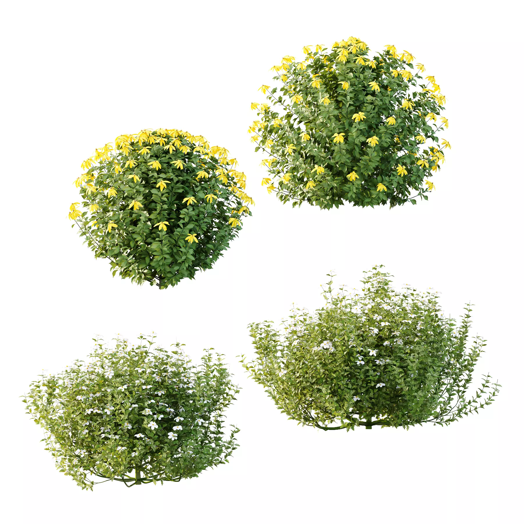 Different bush 05 3D model_0
