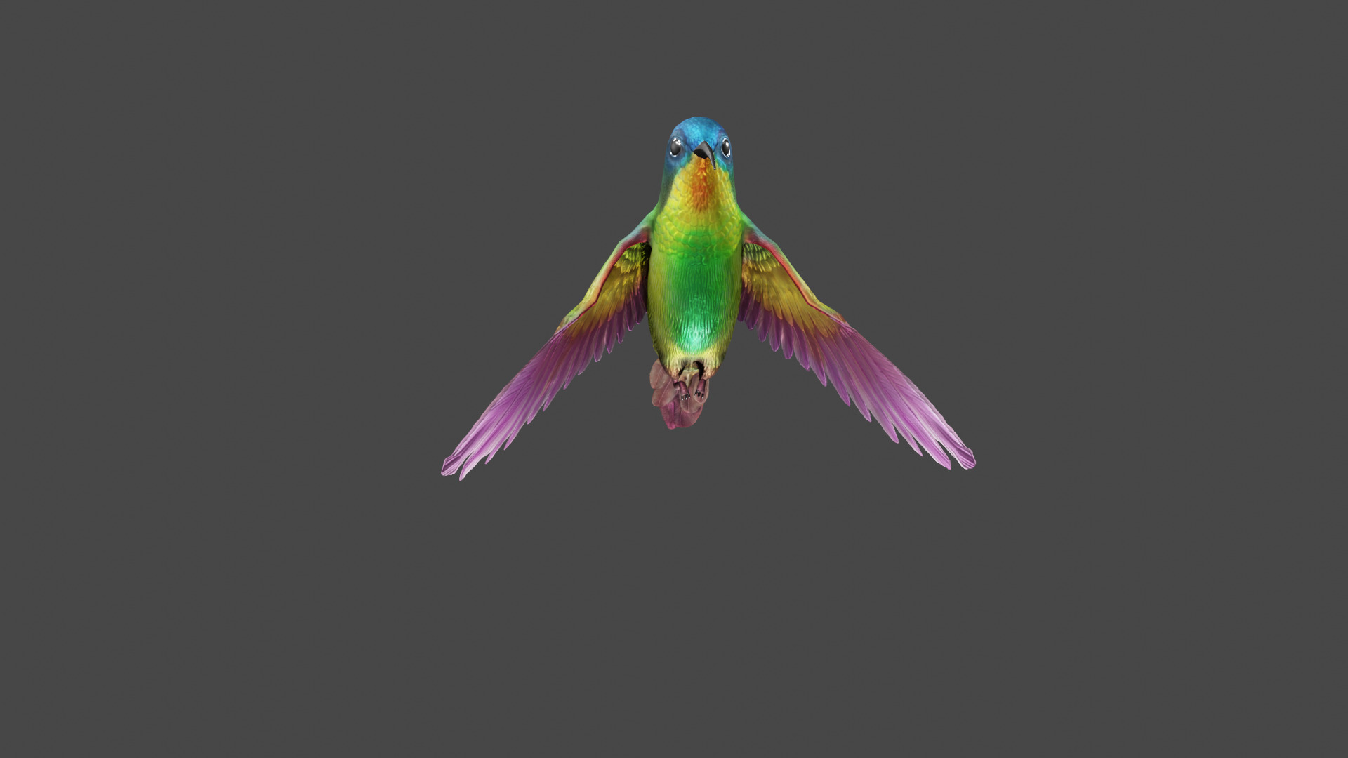 The Flying Hummingbird  3D model_2