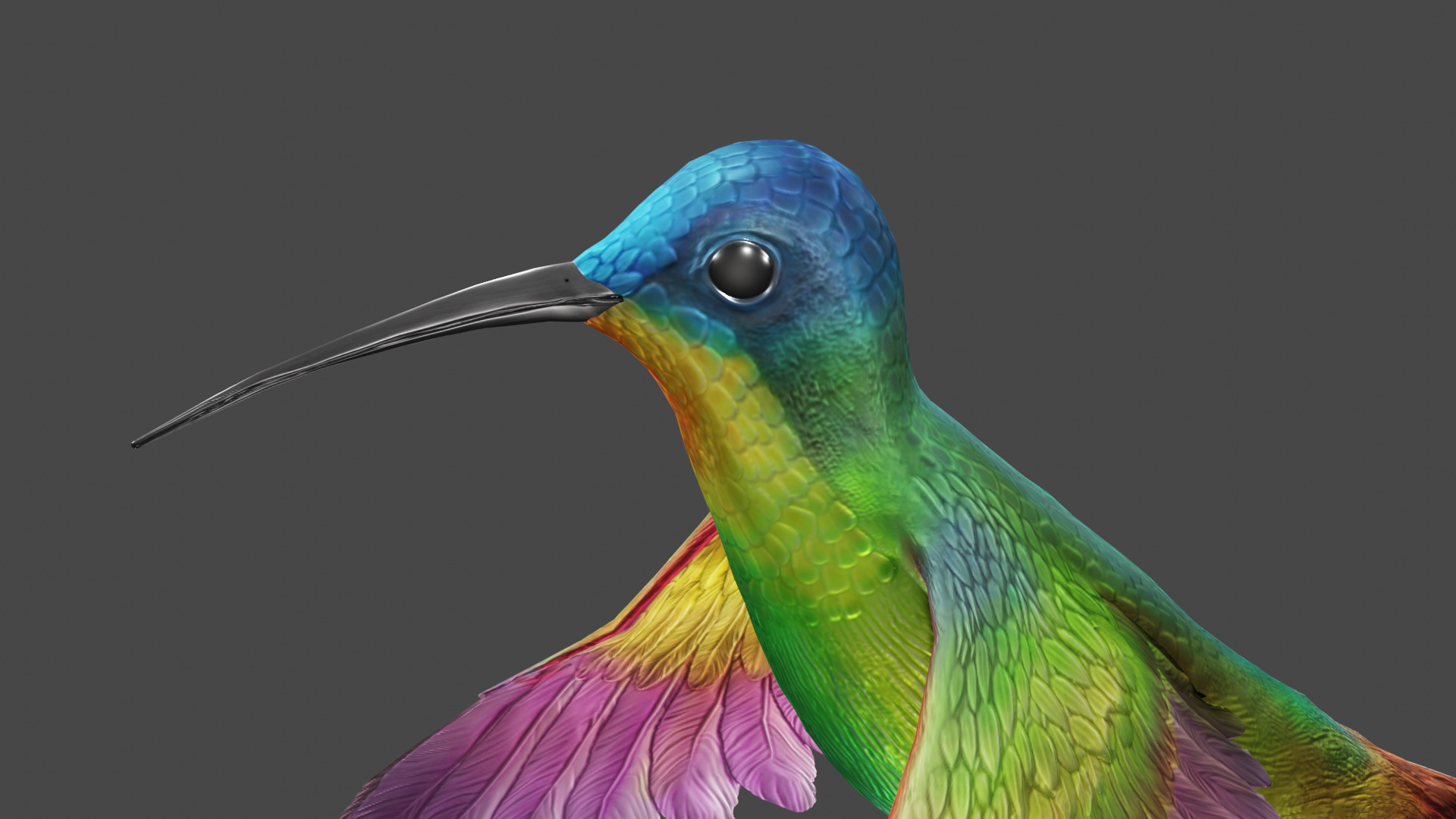 The Flying Hummingbird  3D model_3