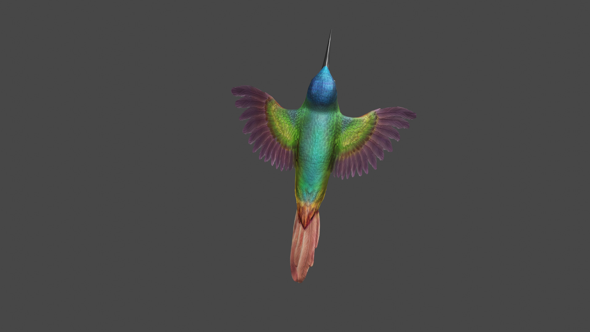 The Flying Hummingbird  3D model_8