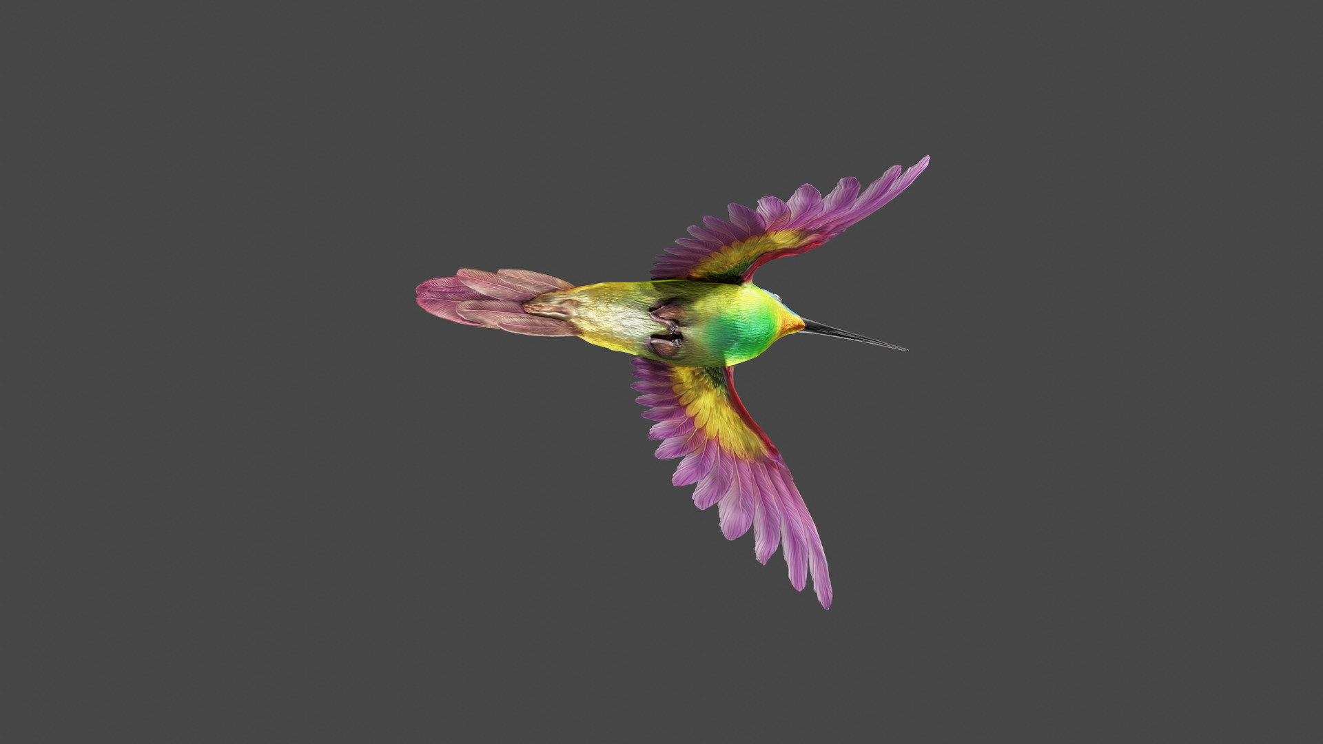 The Flying Hummingbird  3D model_9