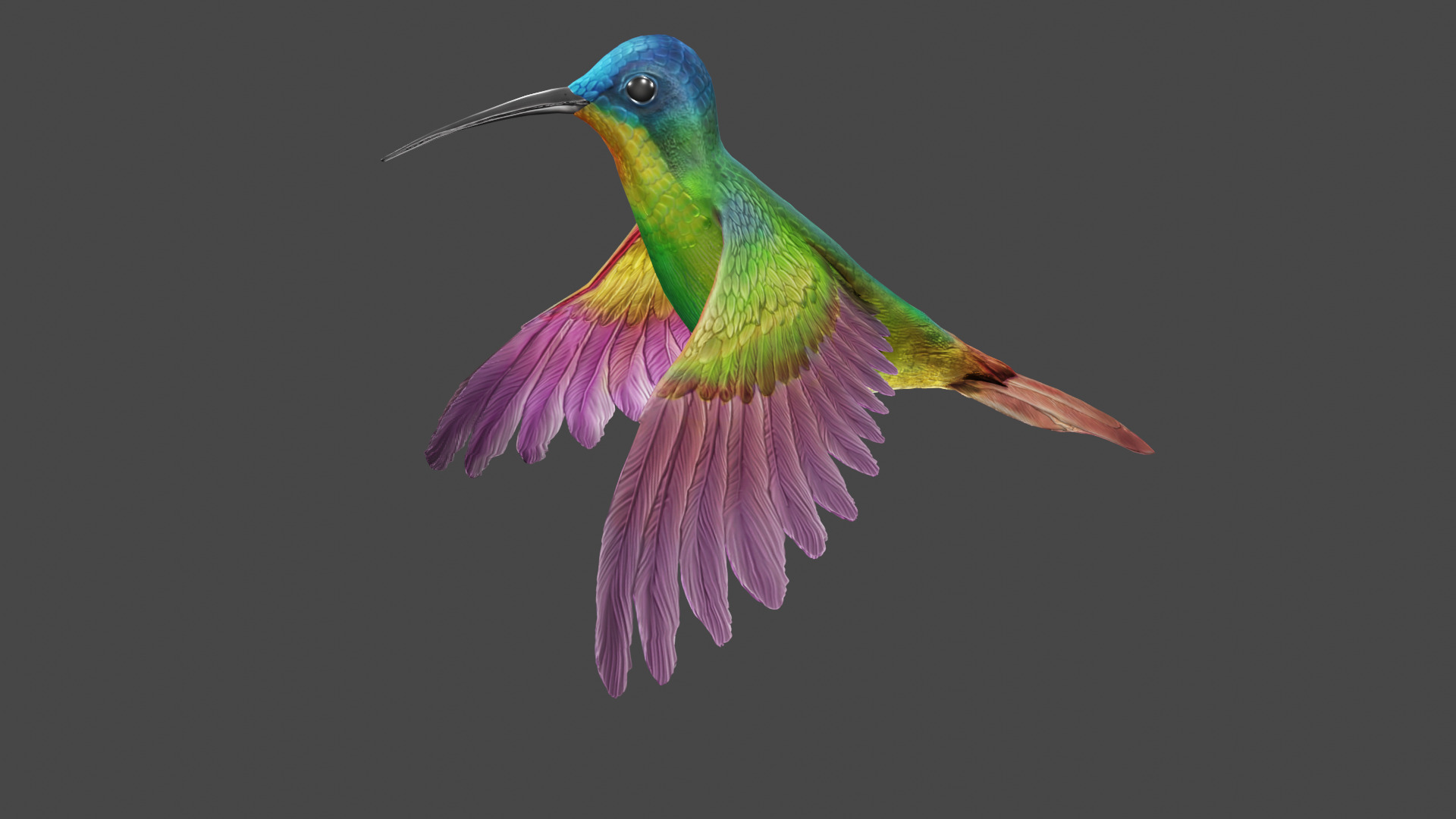 The Flying Hummingbird  3D model_11