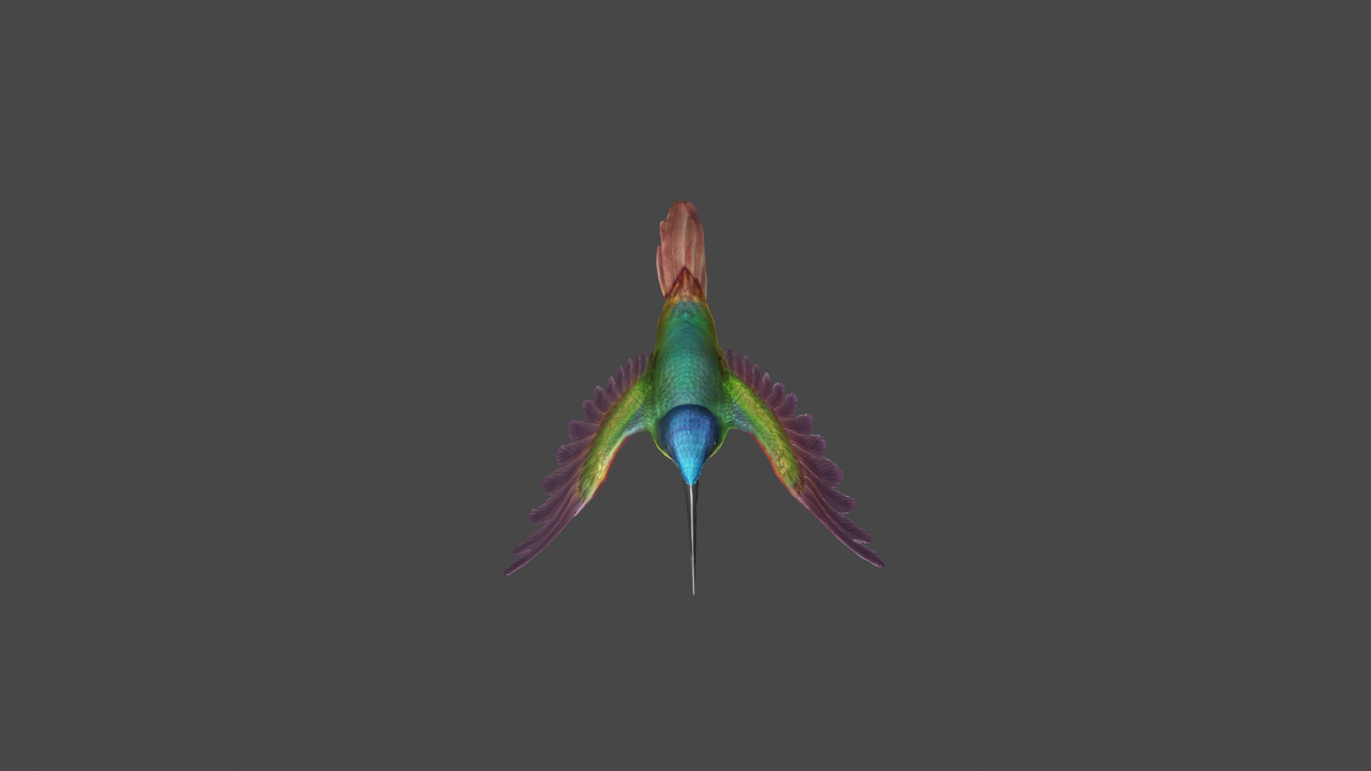 The Flying Hummingbird  3D model_10