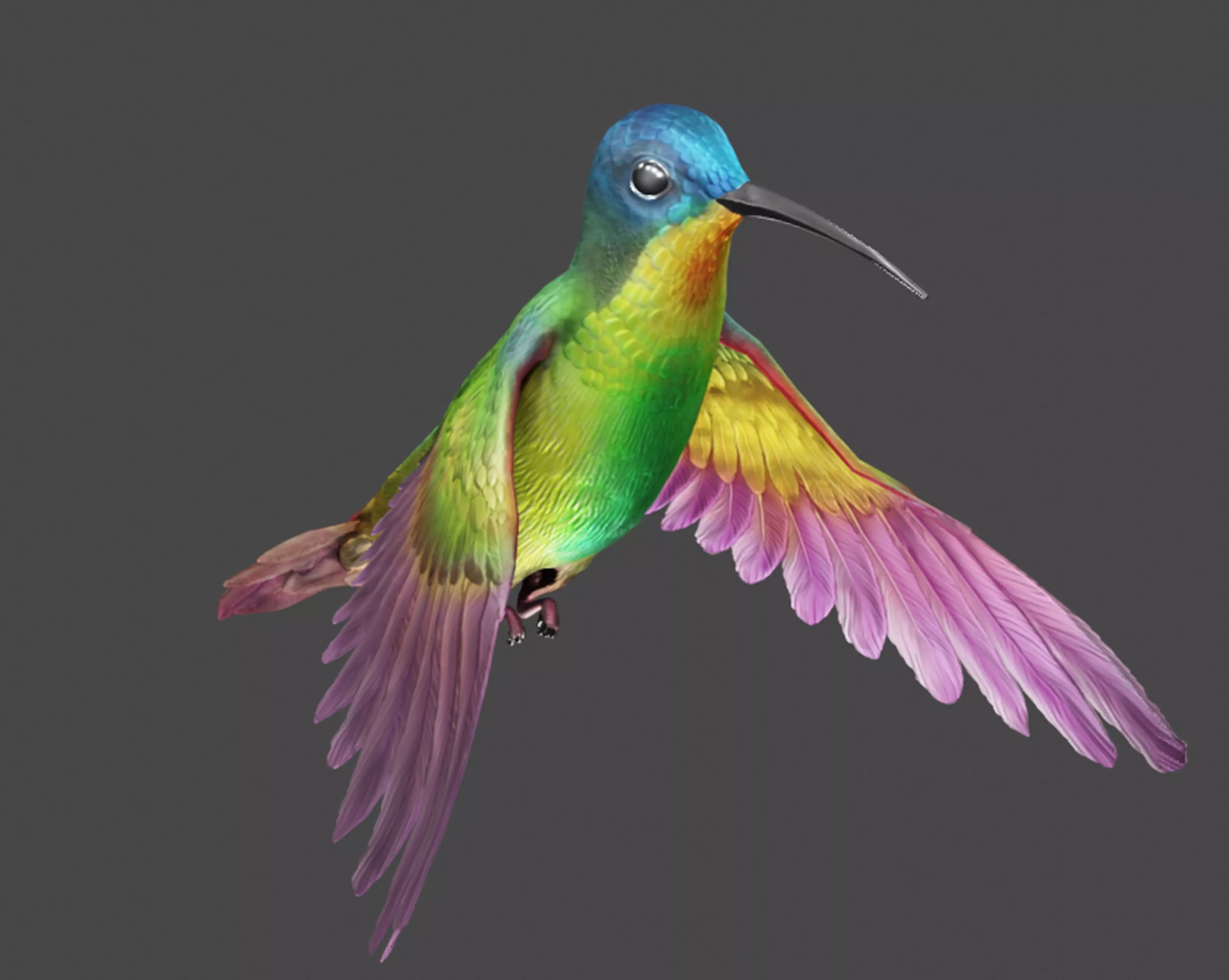 The Flying Hummingbird  3D model_0