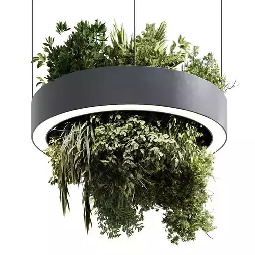Circle pot light pendant - plant light hanging 30