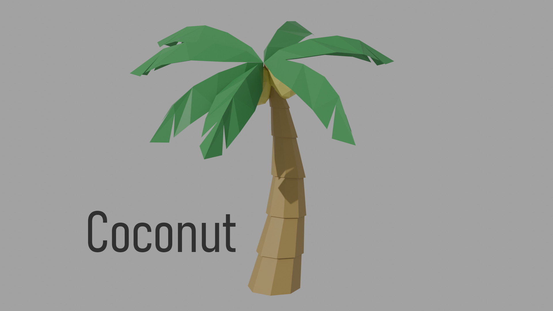 Low poly Tree Pack - 14 Species  Low-poly 3D model_3