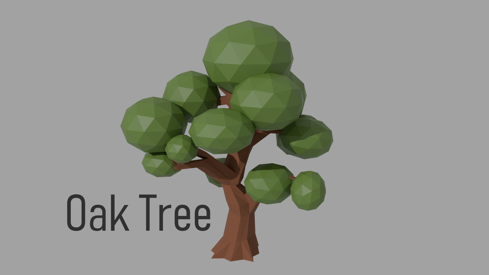 Low poly Tree Pack - 14 Species  Low-poly 3D model_10