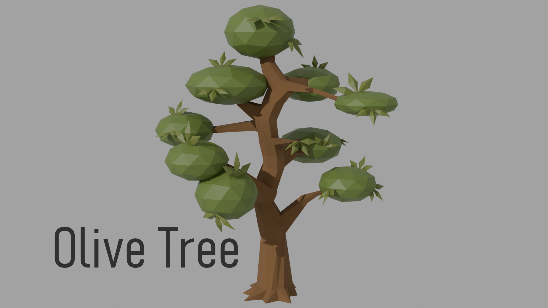 Low poly Tree Pack - 14 Species  Low-poly 3D model_11