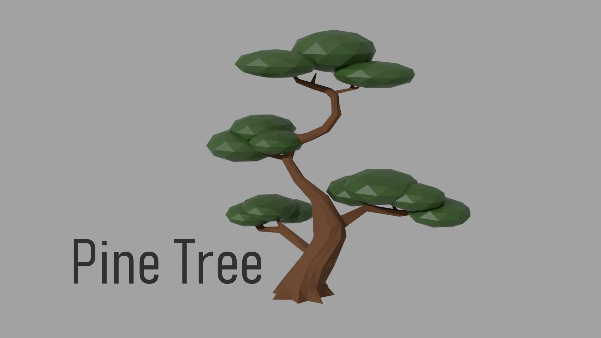 Low poly Tree Pack - 14 Species  Low-poly 3D model_12