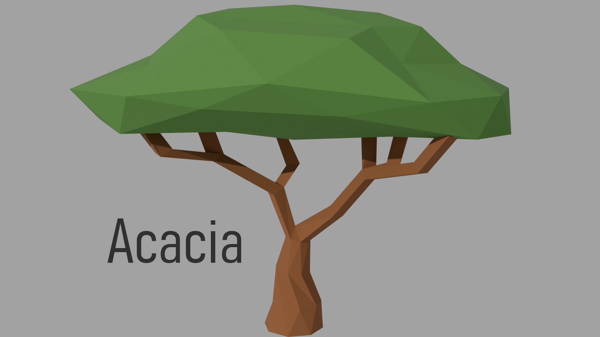 Low poly Tree Pack - 14 Species  Low-poly 3D model_5