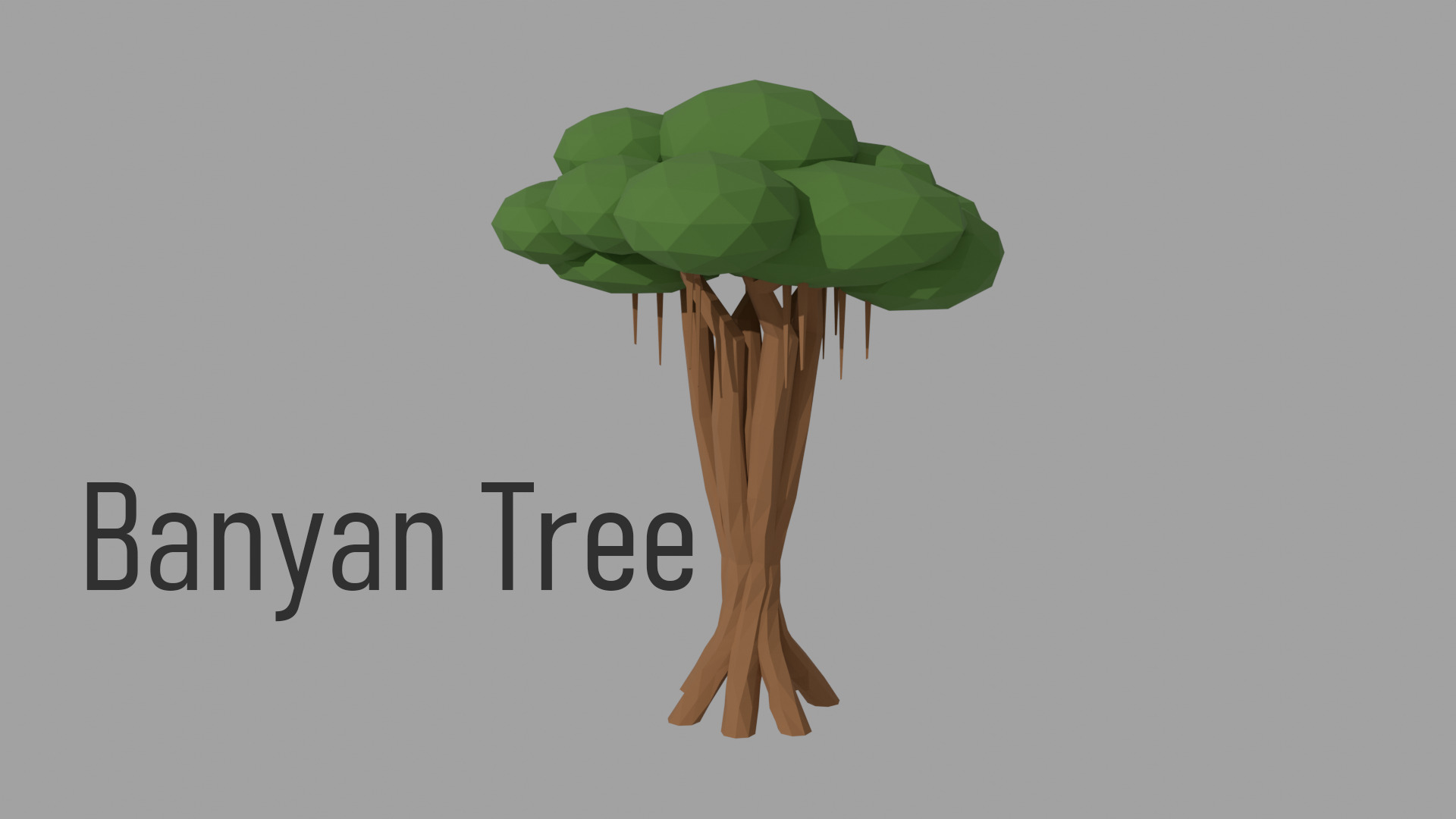 Low poly Tree Pack - 14 Species  Low-poly 3D model_6