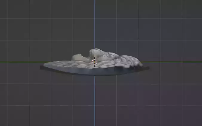 Highly Detailed Lion Head Front View - 3D Model