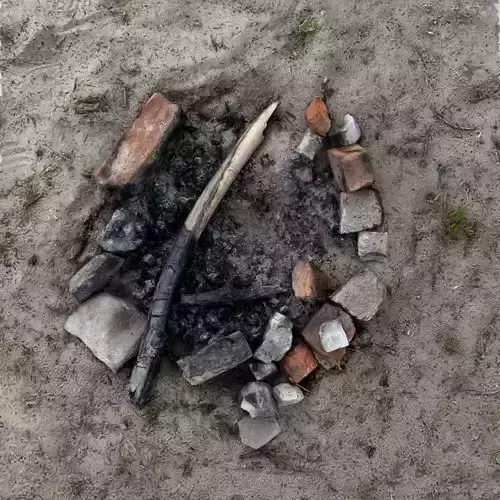Abandoned Campfire Pit with Burnt Wood and Bricks Scan