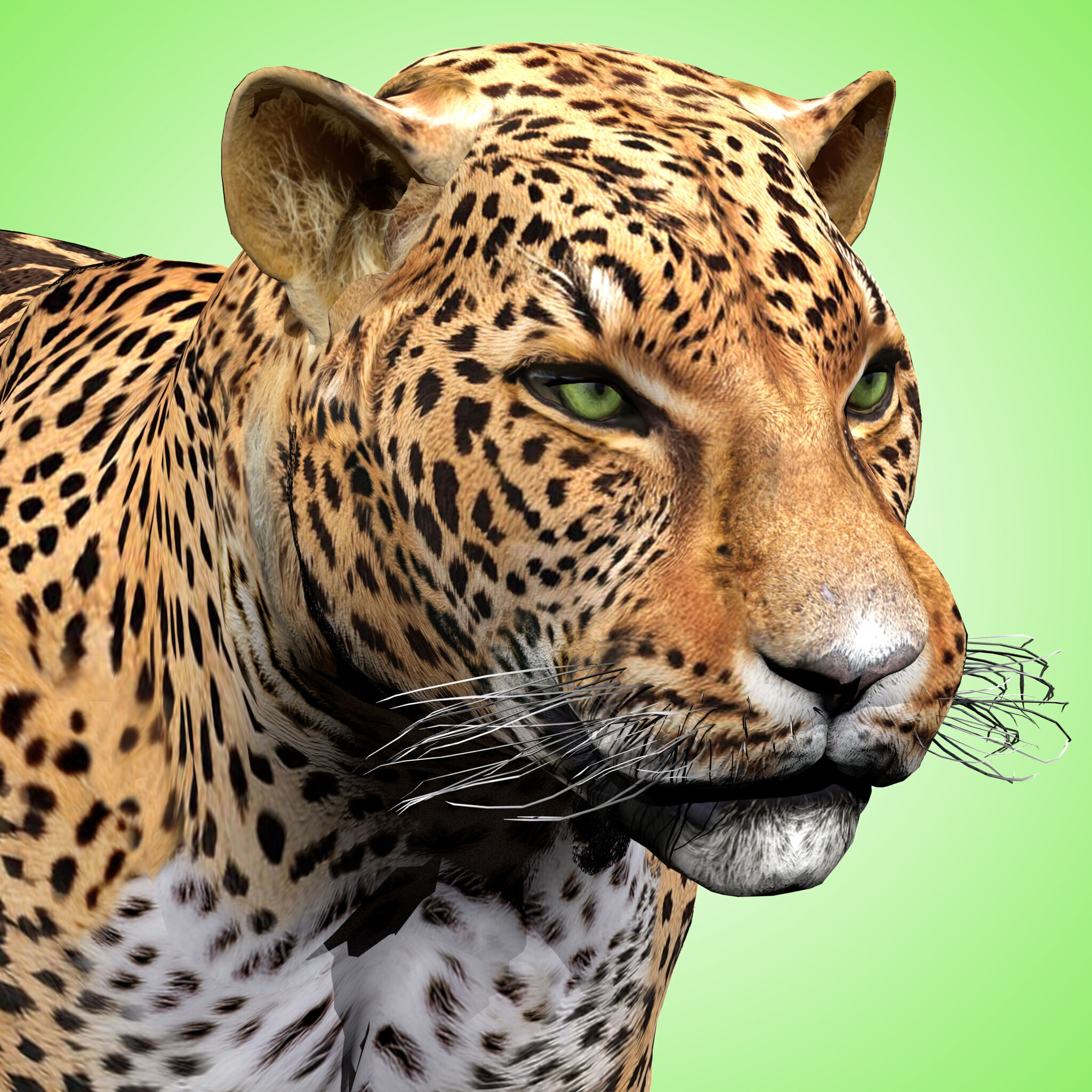 Leopard Rigged 3D model_3