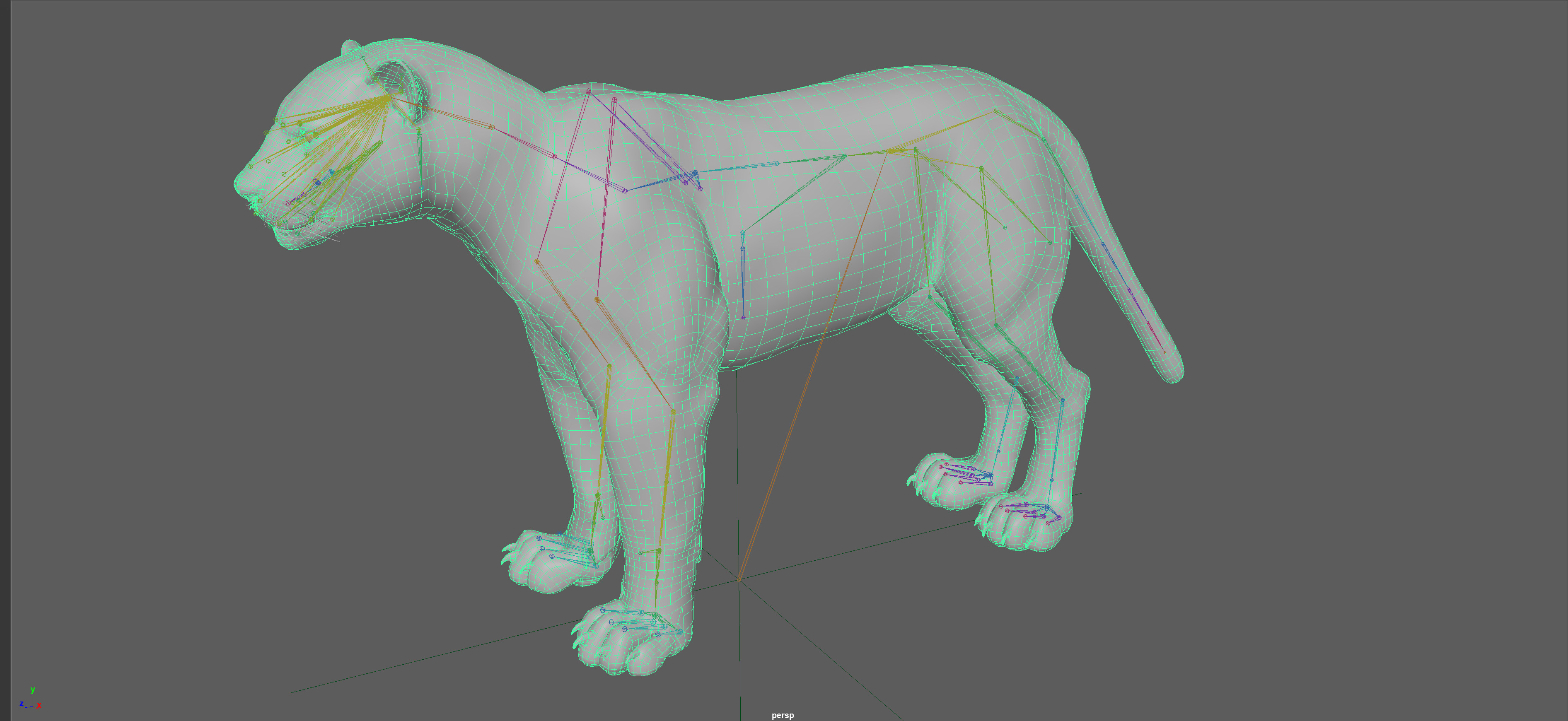 Leopard Rigged 3D model_18