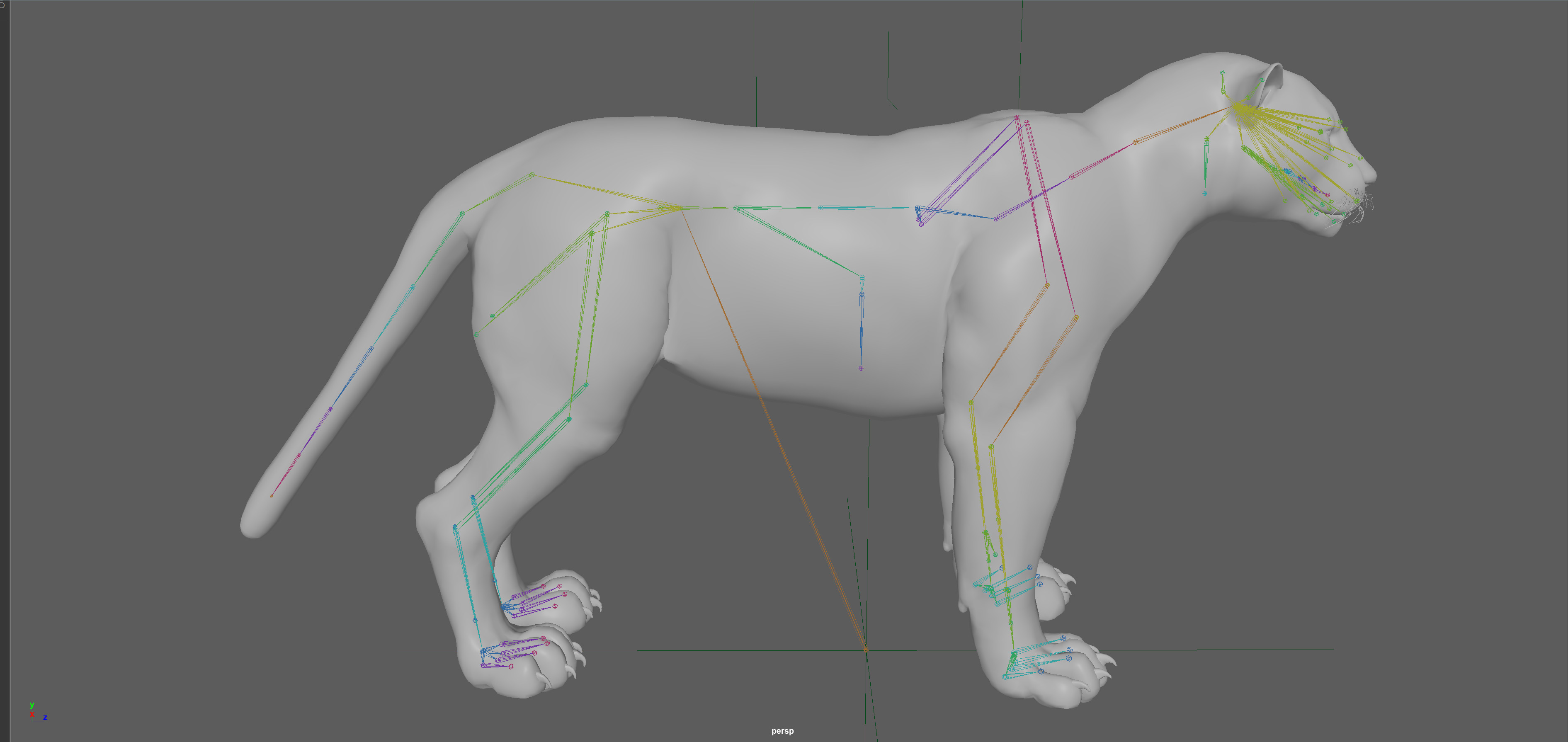 Leopard Rigged 3D model_13