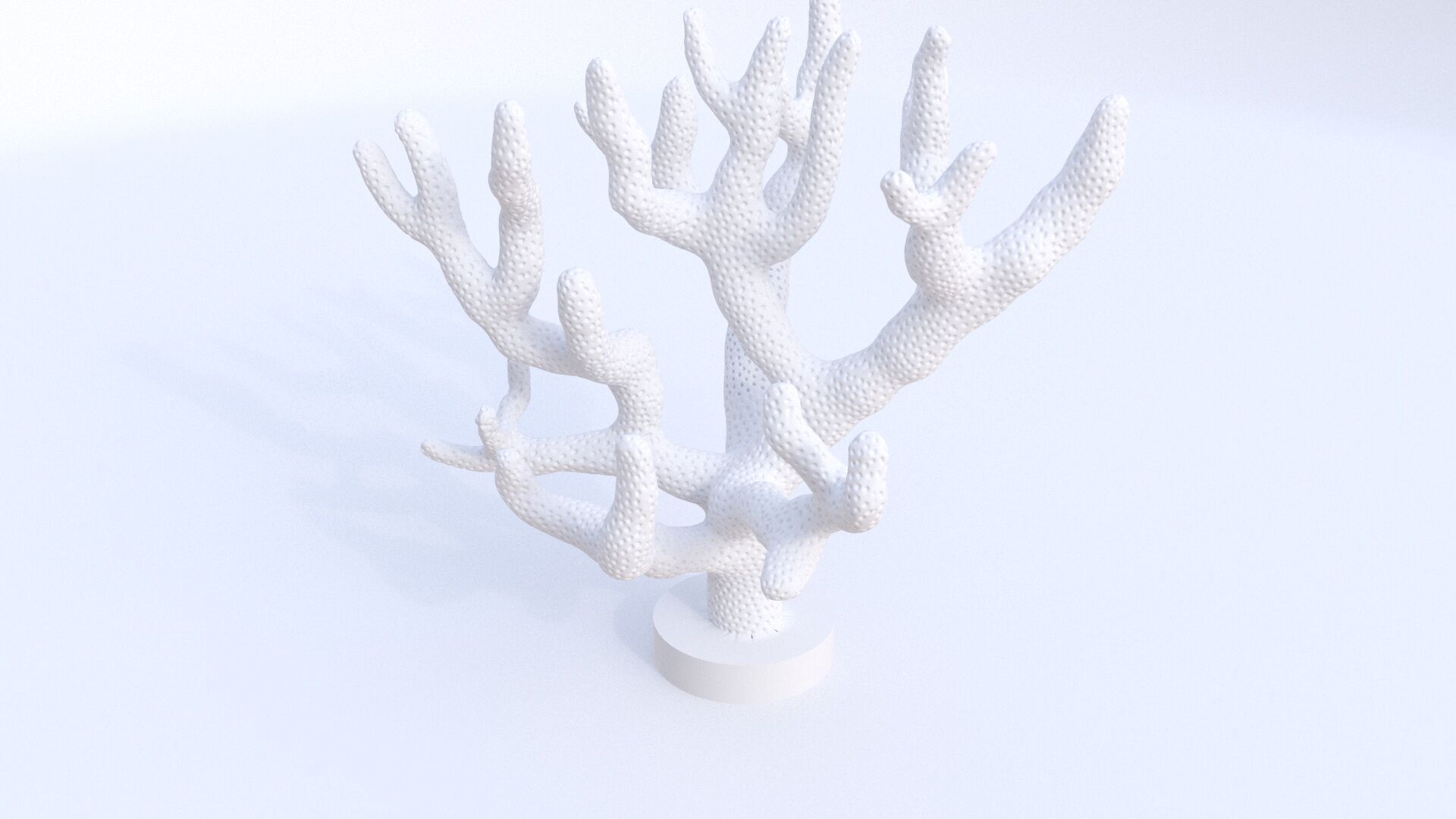 Seriatopora coral 3D model_2