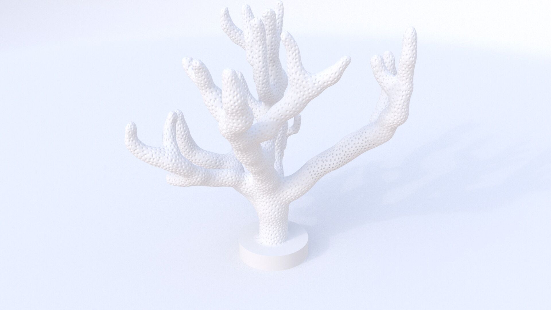 Seriatopora coral 3D model_4