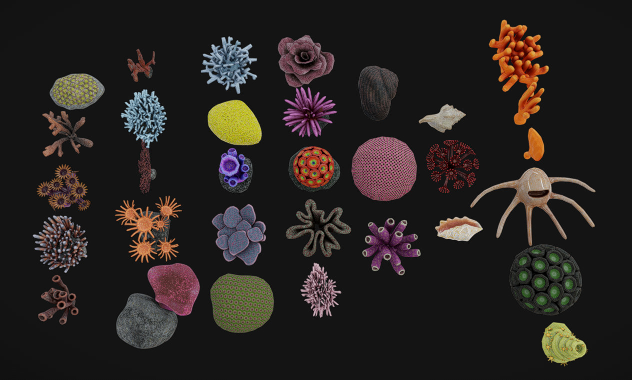 Coral Pack Low-poly 3D model_5