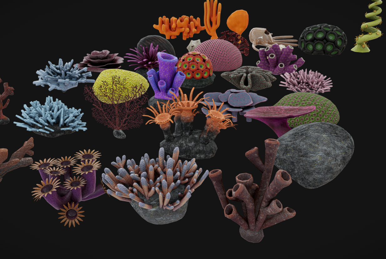 Coral Pack Low-poly 3D model_4